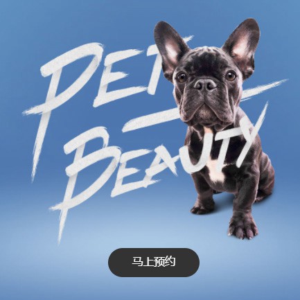 宽城宠物中心小程序开发